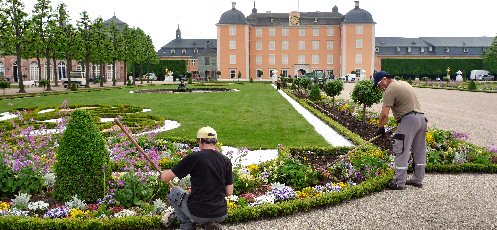 Sommerbepflanzung