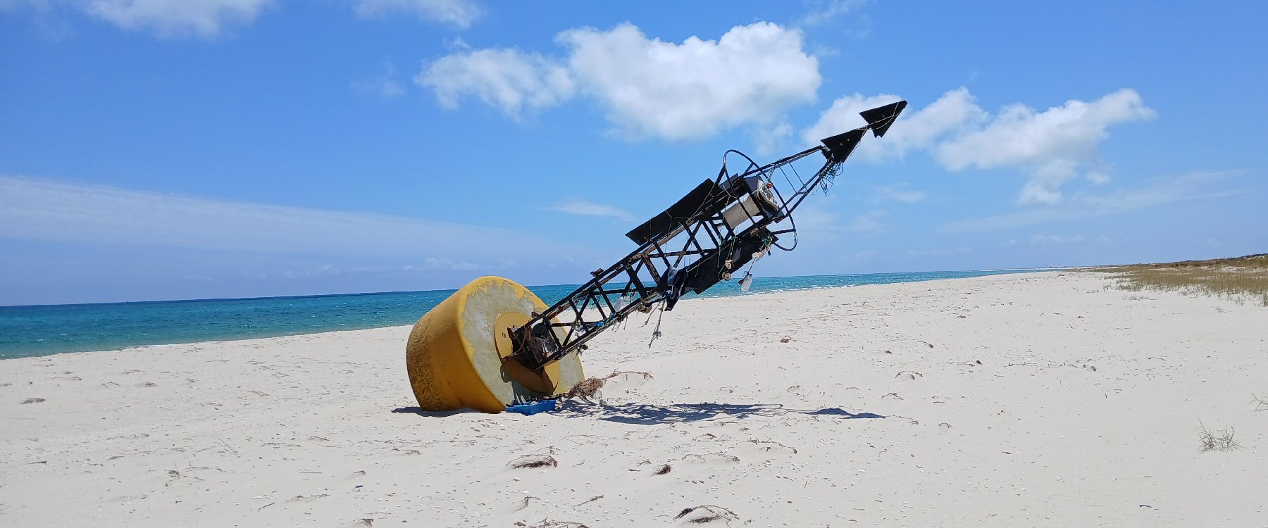 Album Strandwanderungen