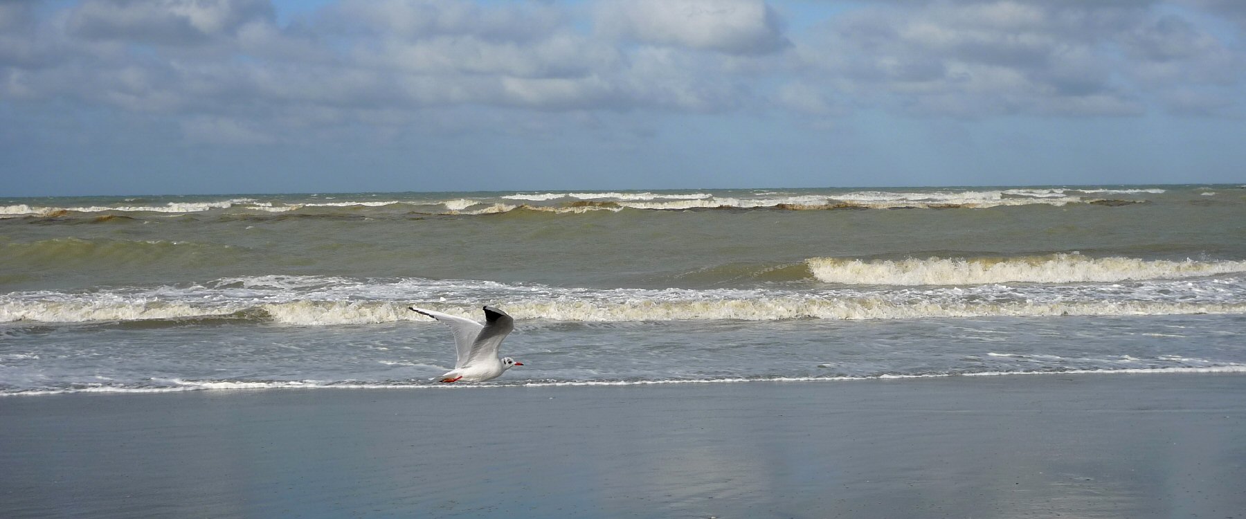 Album Strandwanderungen