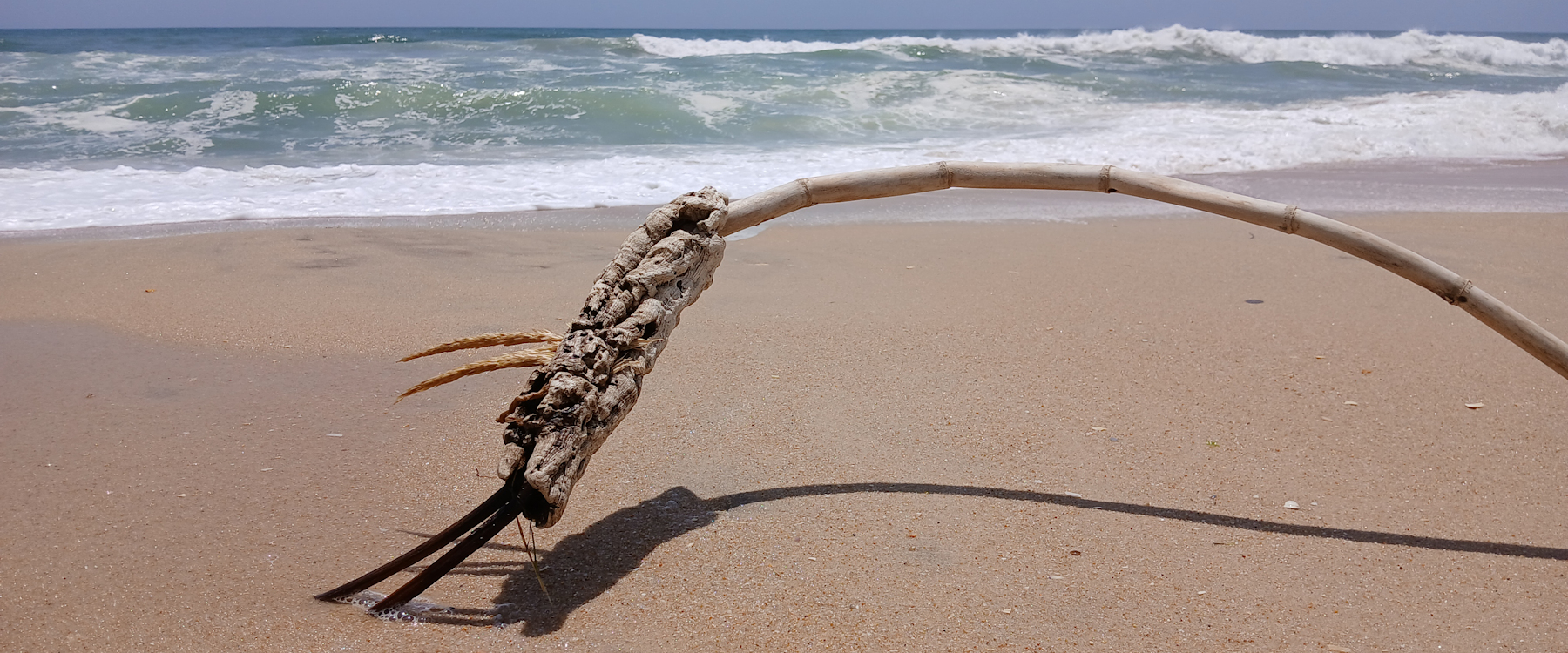 Album Strandwanderungen