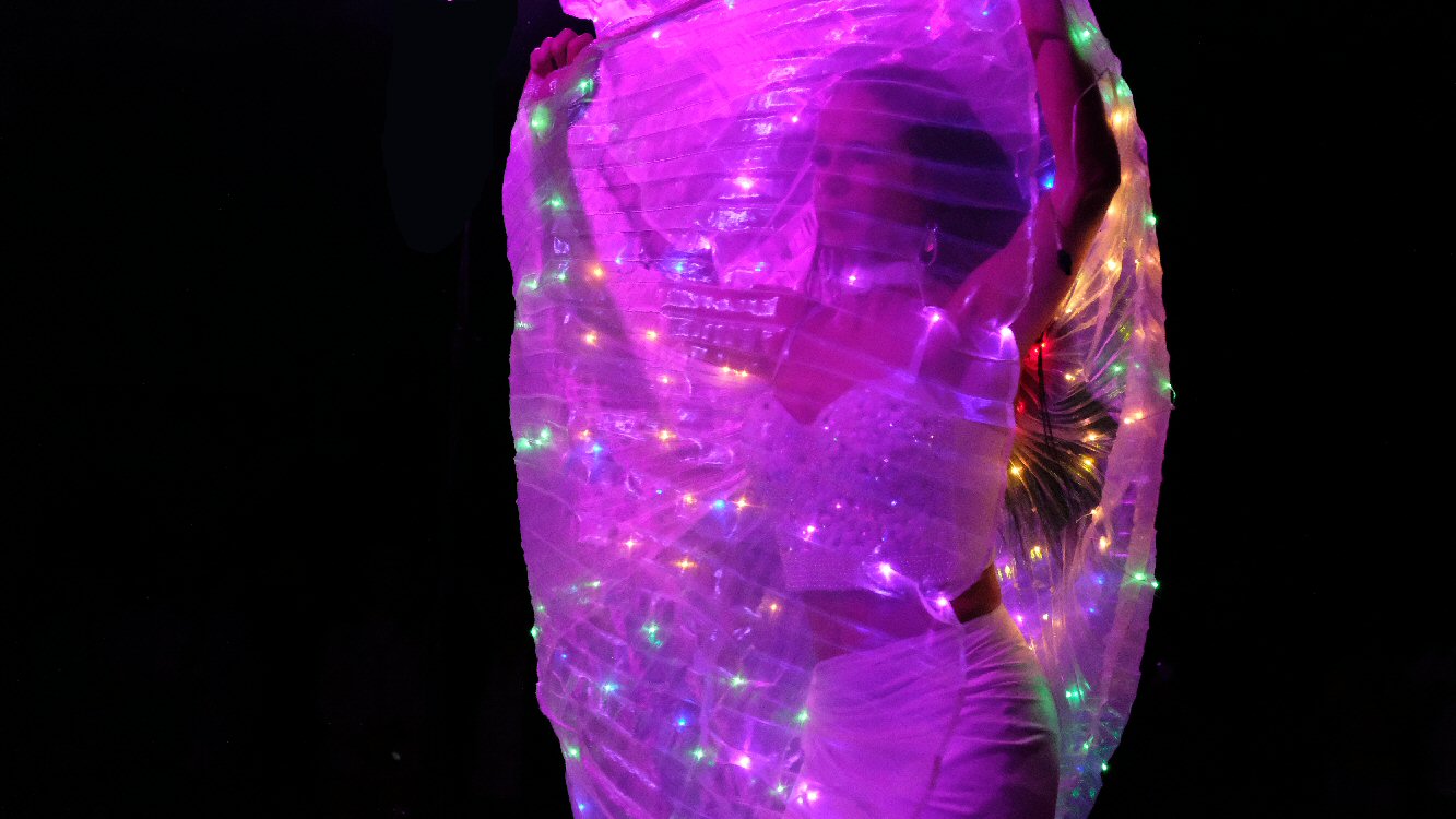 Schwetzinger Schlossgarten Lichterfest