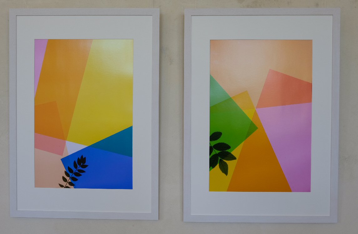 Ausstellung garten6