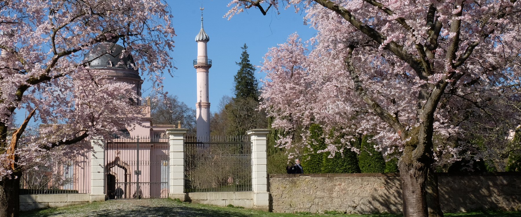 Schwetzinger Schlossgarten Kirschbaumblüte