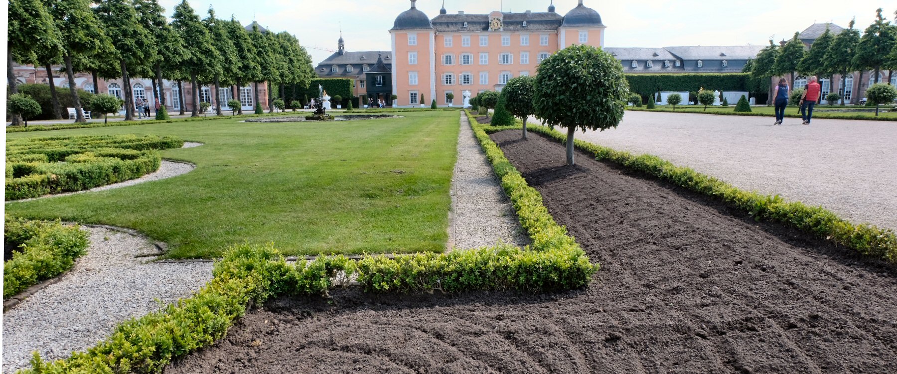 Schwetzinger Schlossgarten Sommerbepflanzung