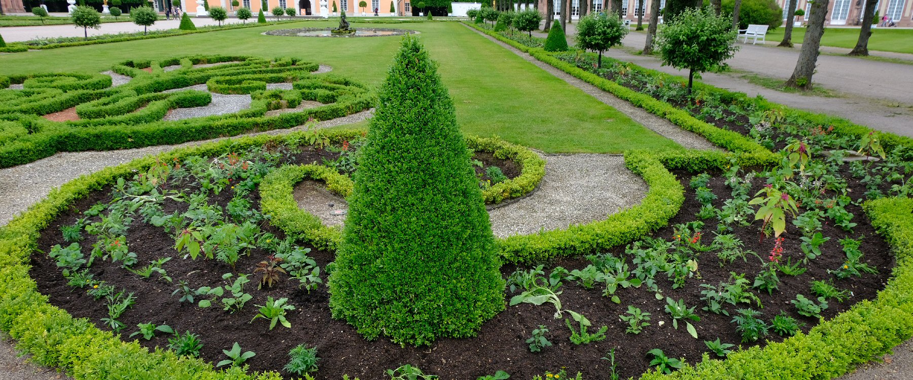 Schwetzinger Schlossgarten Sommerbepflanzung
