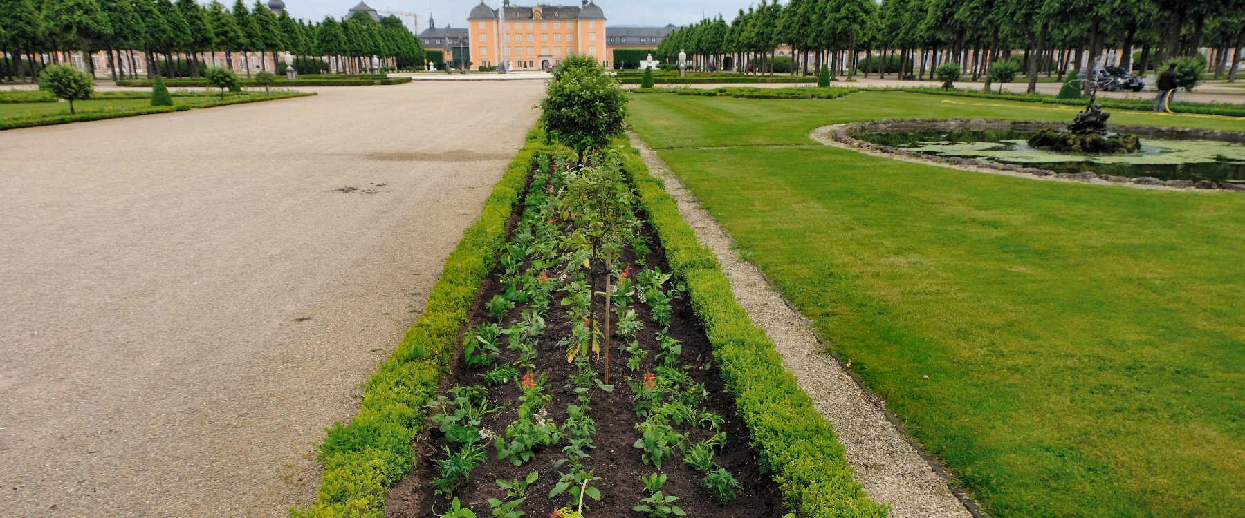 Schwetzinger Schlossgarten Sommerbepflanzung