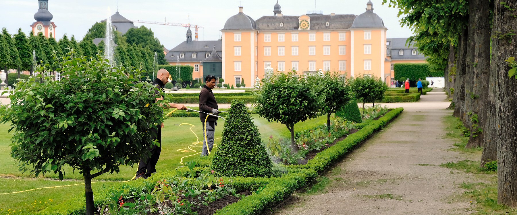 Schwetzinger Schlossgarten Sommerbepflanzung