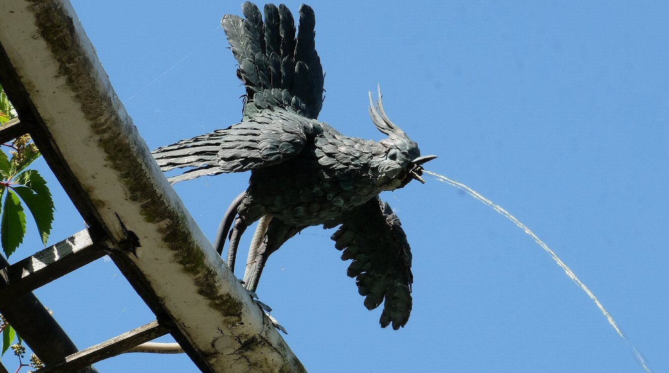 Wasserspeiende Vögel