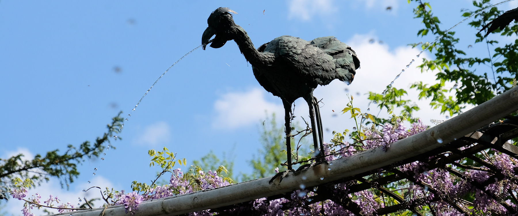 Wasserspeiende V&ouml;gel