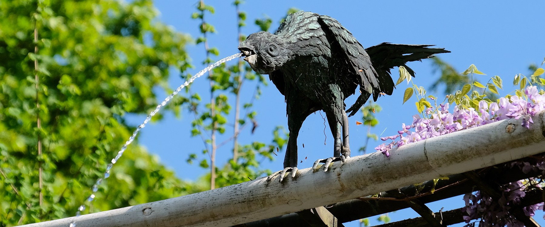 Wasserspeiende V&ouml;gel