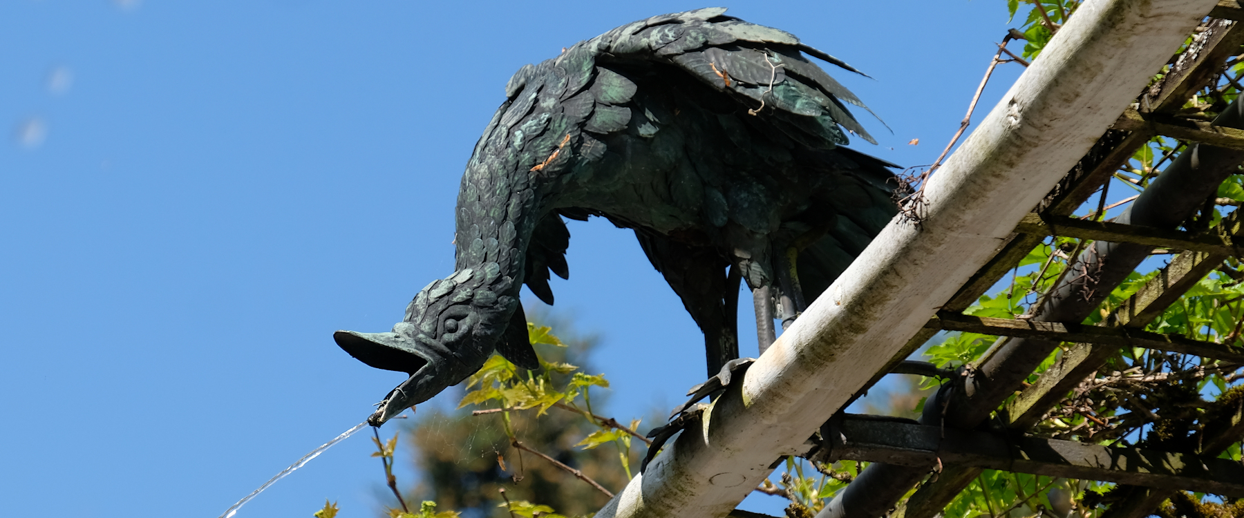 Wasserspeiende V&ouml;gel