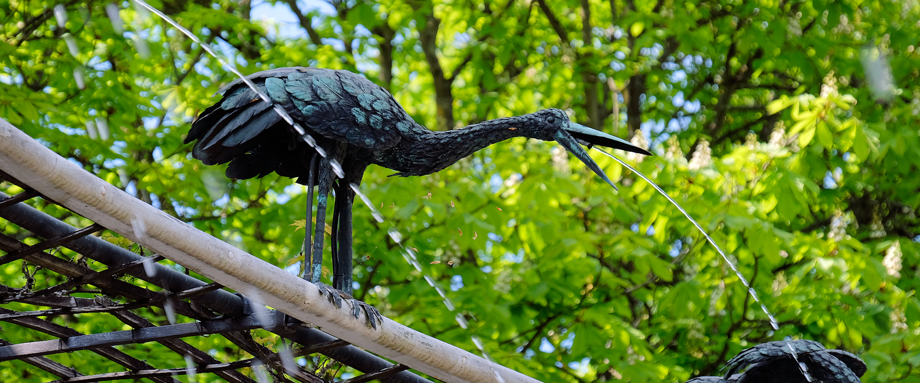 Wasserspeiende V&ouml;gel