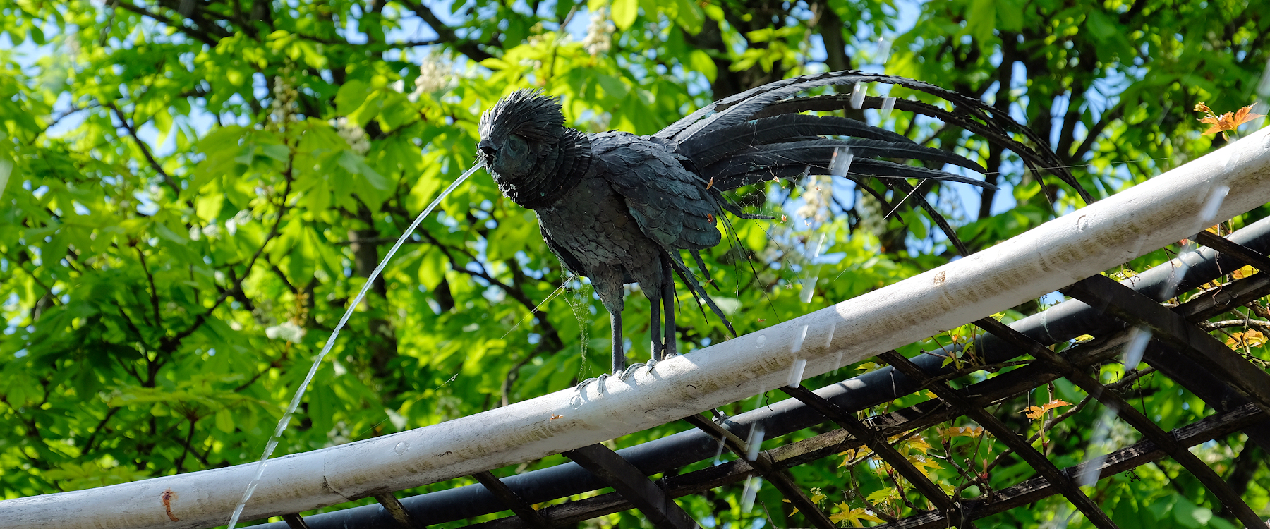 Wasserspeiende V&ouml;gel
