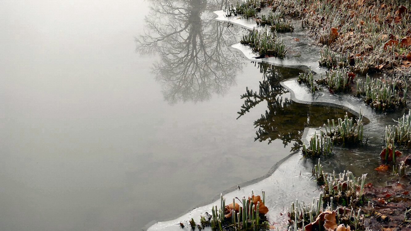 Reflexionen im Winter