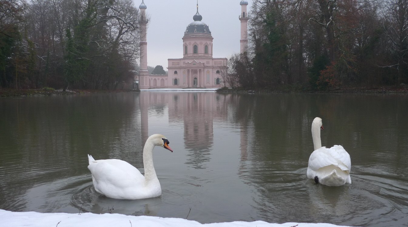 Reflexionen im Winter