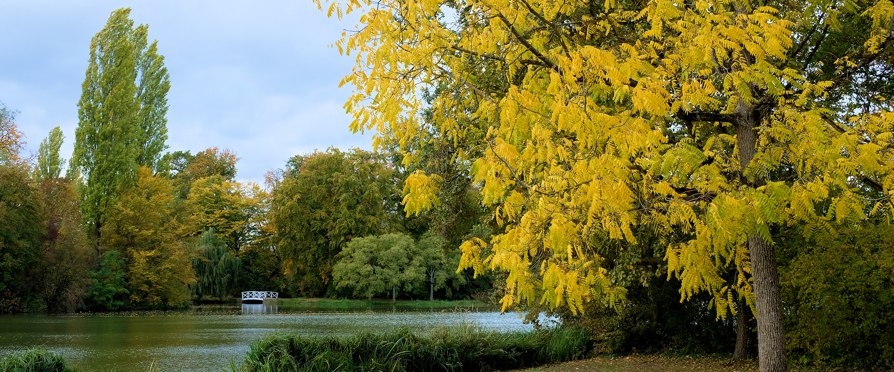 Herbst