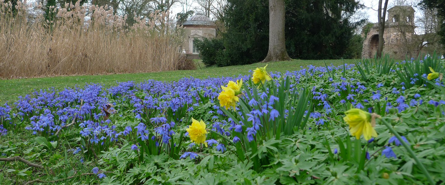 Frühling