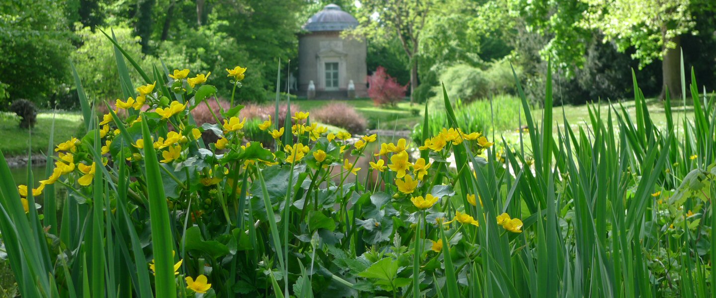 Frühling