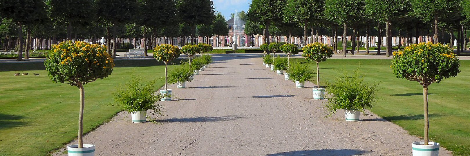 Schwetzingen Schlossgarten